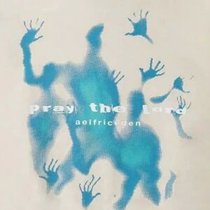 Aelfric Eden Abstraction Shadow Print Hoodie